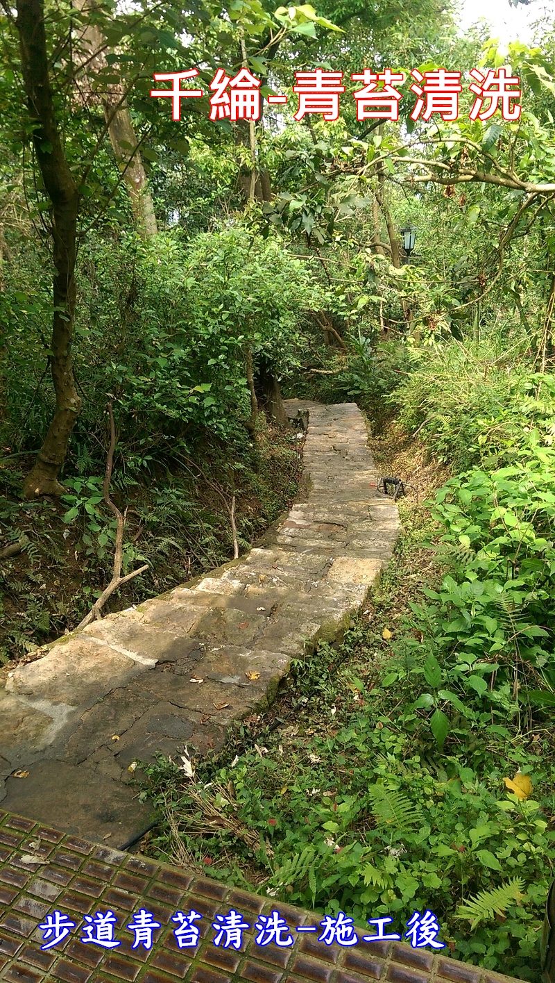 千綸-步道青苔清洗